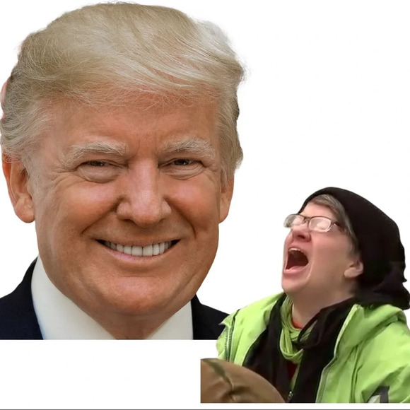 NEW 3200 Unisex 3/4 Sleeve “Don’t Let me Vote Democrat” Baseball Style Shirt - Picture 6 of 6